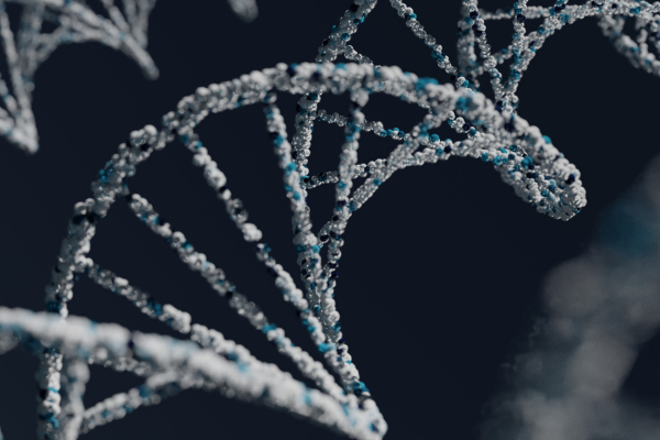 Cellular and DNA Healing
